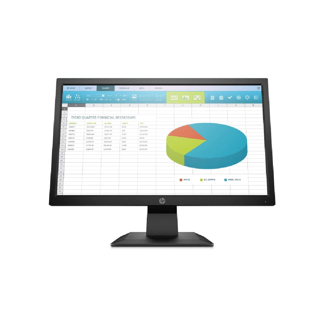 HP P204v 49,5 cm, 19.5-inch Monitor (UPV/EVV/XGI)