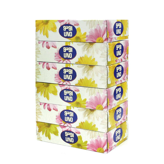 UNO Plus Hard-Pack Facial Tissue, 100 Sheets x 2 Ply,6 Box | B.99842383 (HR/AS/AE-TX)