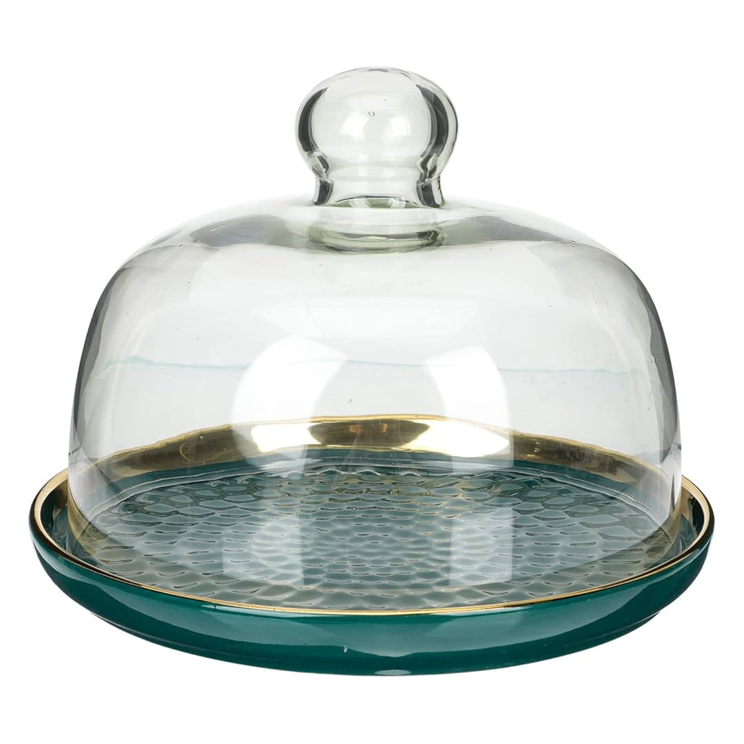 Cake Holder Clear Container with Lid | B.20045706 (OEH-OCS-OCH-TX)