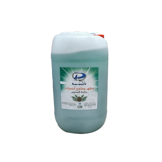 Dhanah Disinfectant Floor Pine 30L | B.99945862 (ES-EN-EH)