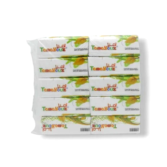 Tamayouz Tissue 200 X 2 PLY 10 Packs | B.99816919 (OSS/OSE-TX)