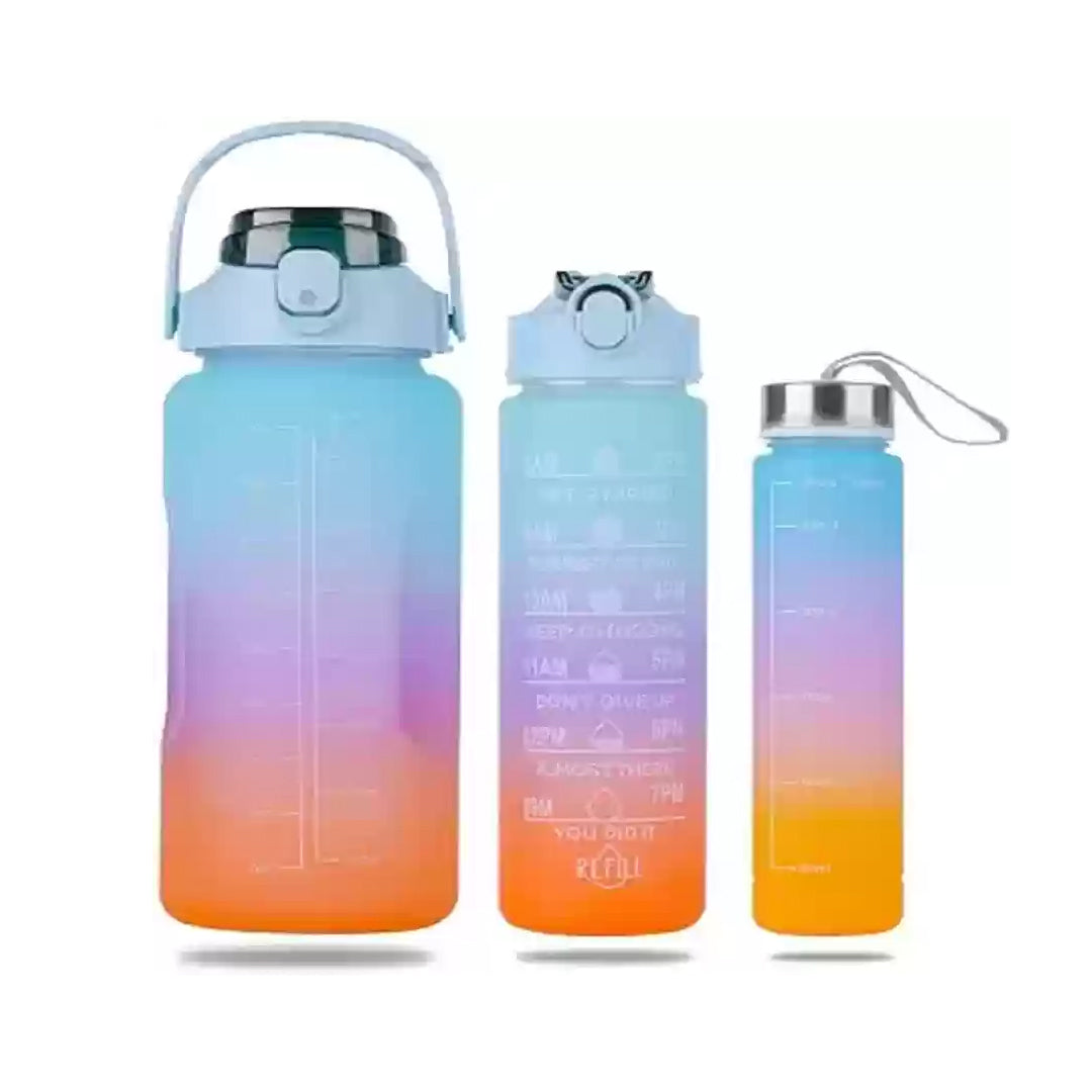 3in1 Electropoted Water Bottle | B.99940669 (OM/NS/NN-TX)