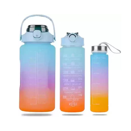 3in1 Electropoted Water Bottle | B.99940669 (OM/NS/NN-TX)